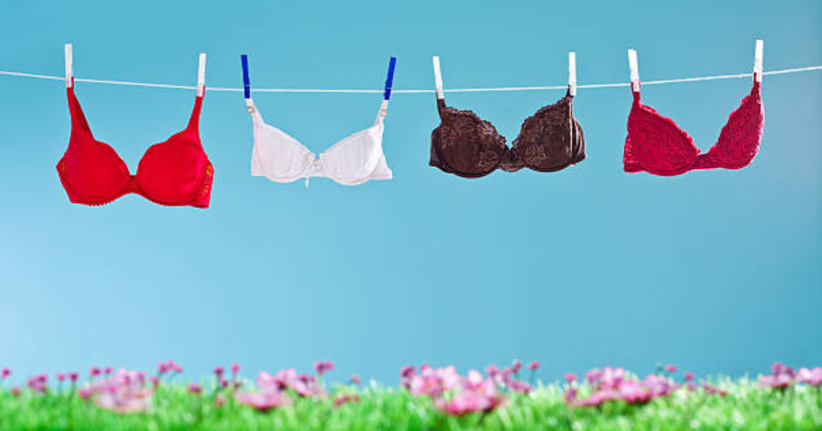 How to Properly Wash and Maintain Your Bra - Naidu Hall Family Store