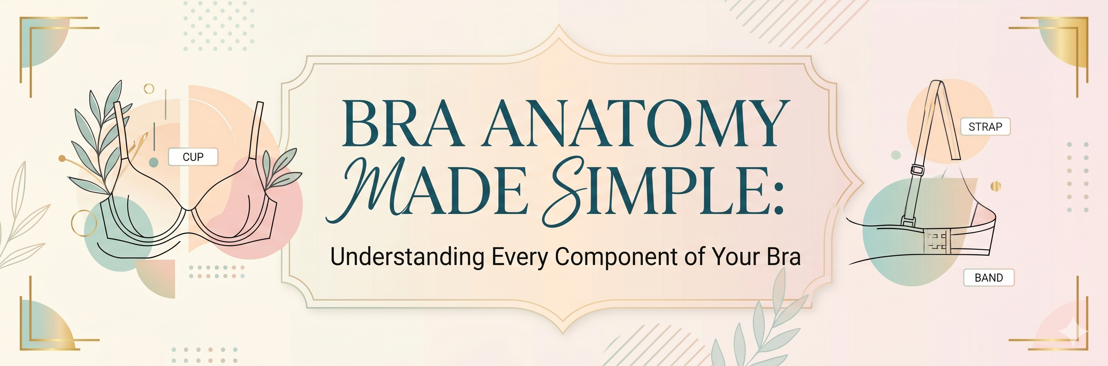 Bra Anatomy Made Simple: Understanding Every Component of Your Bra