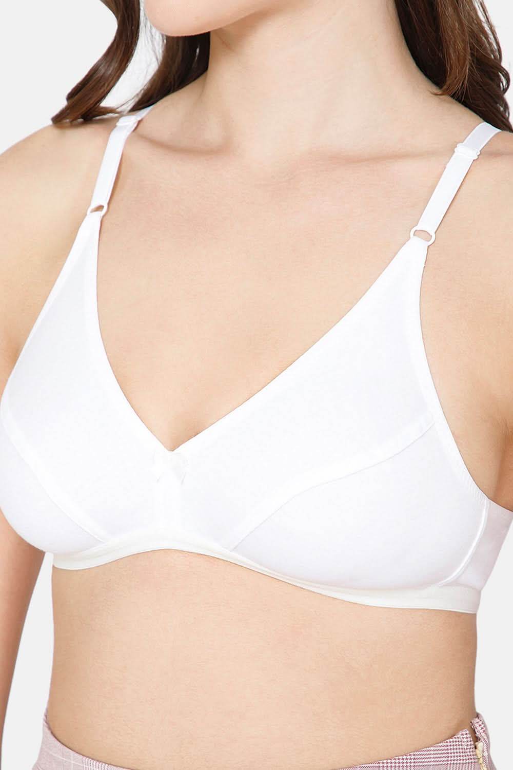 Intimacy Saree Bra Special Combo Pack - IN27 - C02 - Naidu Hall Family Store