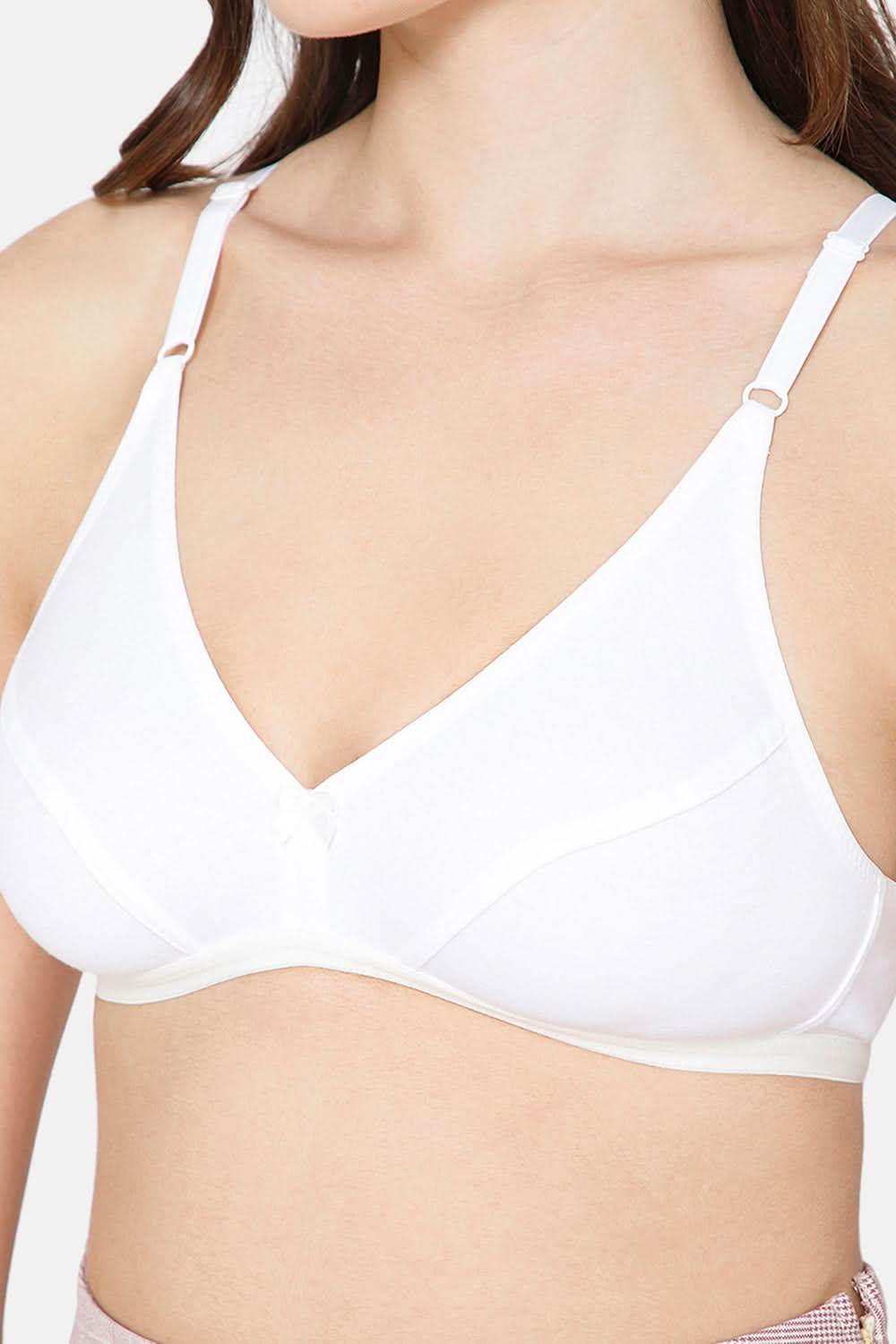 Intimacy Saree Bra Special Combo Pack - IN27 - C41 - Naidu Hall Family Store