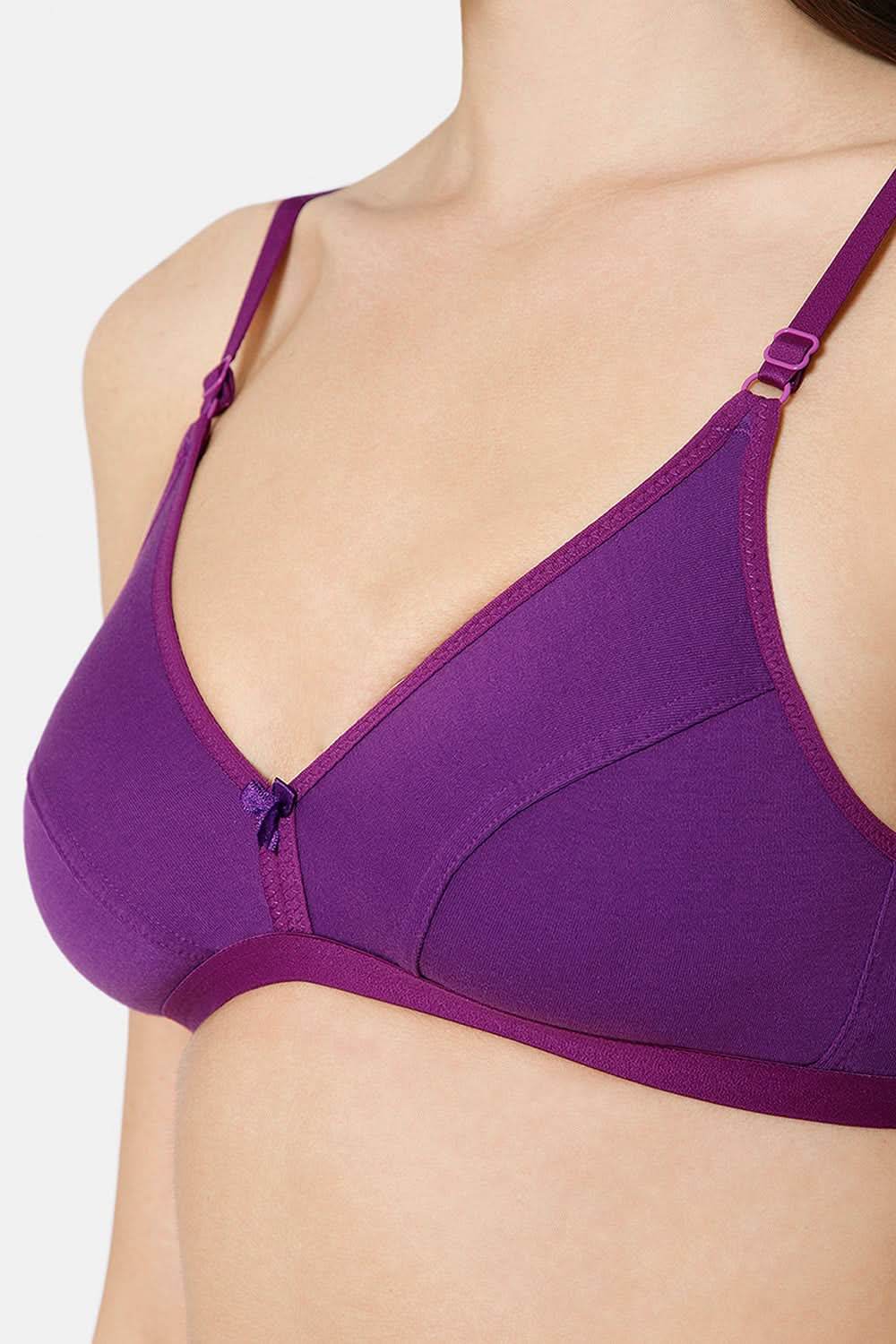 Intimacy Saree Bra Special Combo Pack - IN27 - C42 - Naidu Hall Family Store