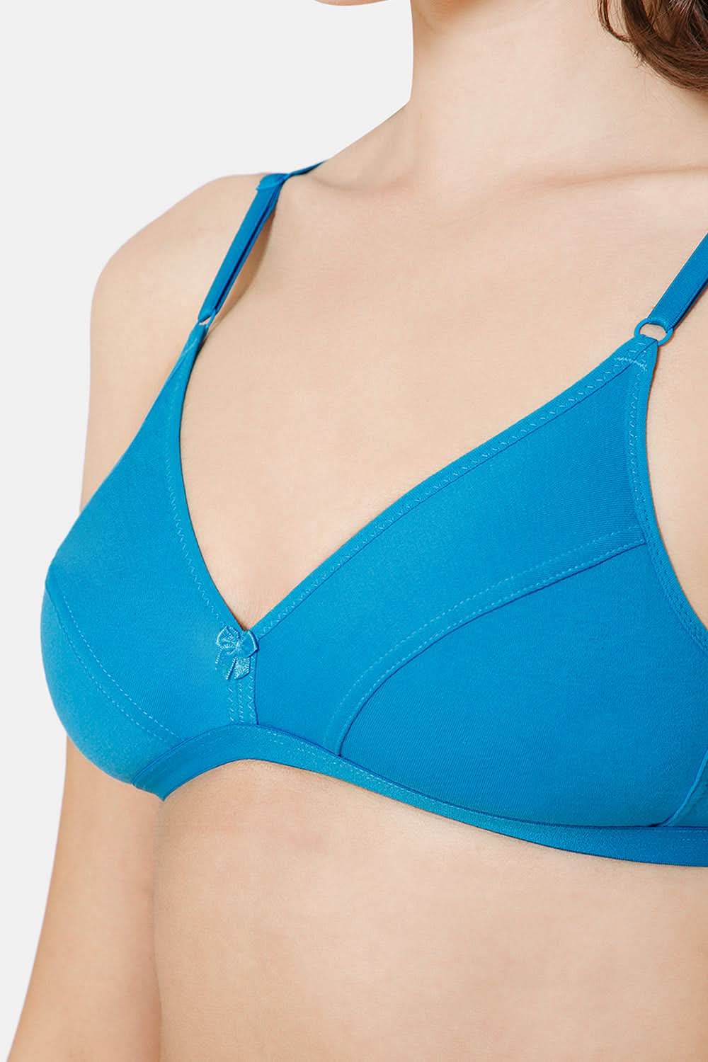 Intimacy Saree Bra Special Combo Pack - IN27 - C33 - Naidu Hall Family Store