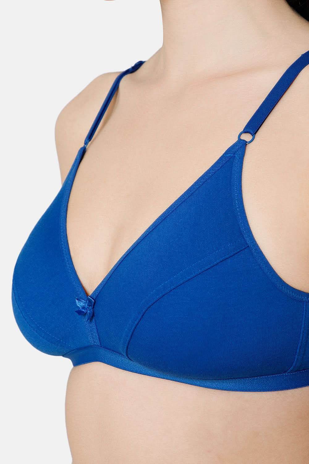 Intimacy Saree Bra Special Combo Pack - IN27 - C35 - Naidu Hall Family Store