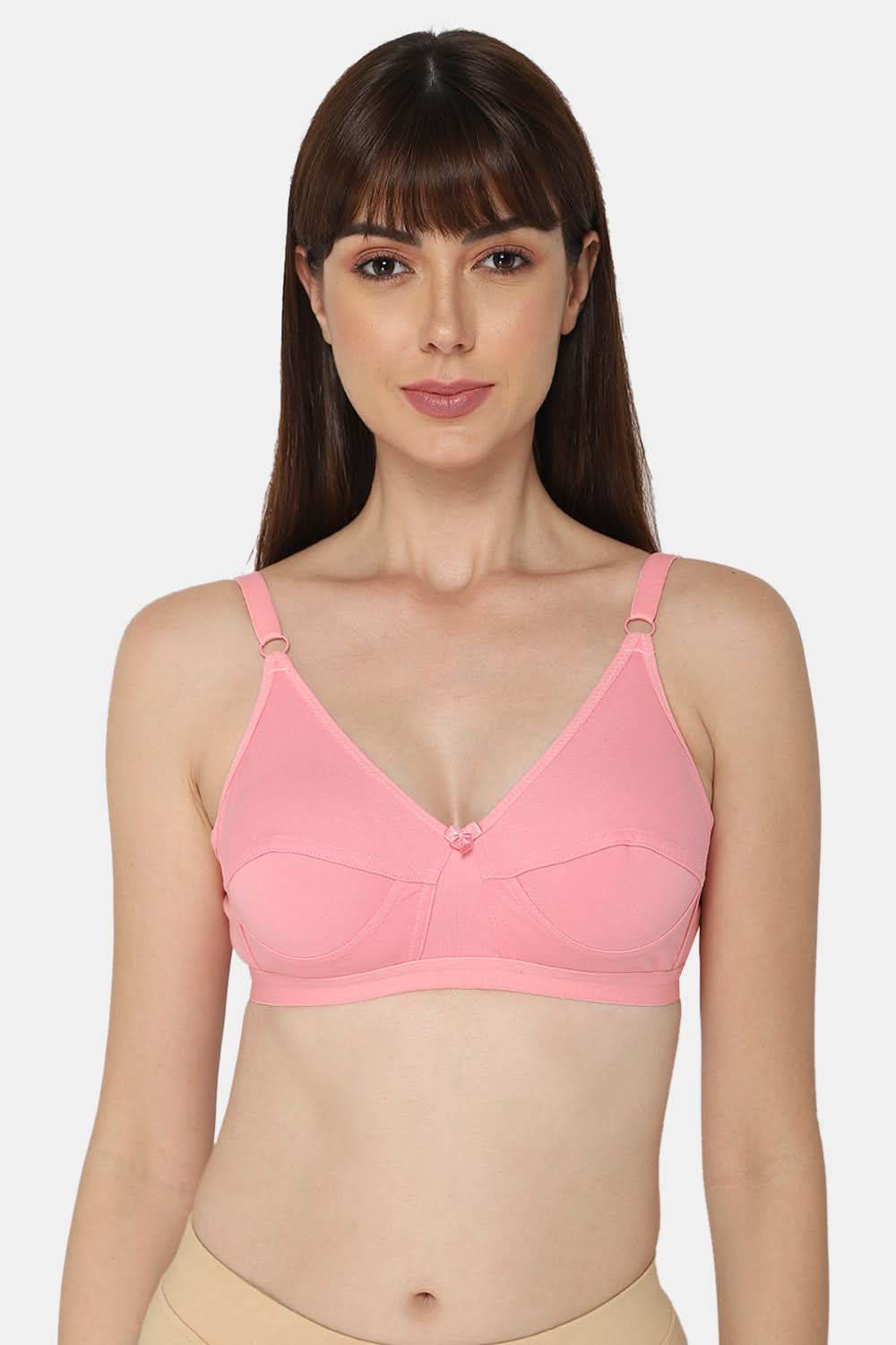Intimacy Saree Bra Special Combo Pack - IN01 - C39 - Naidu Hall Family Store