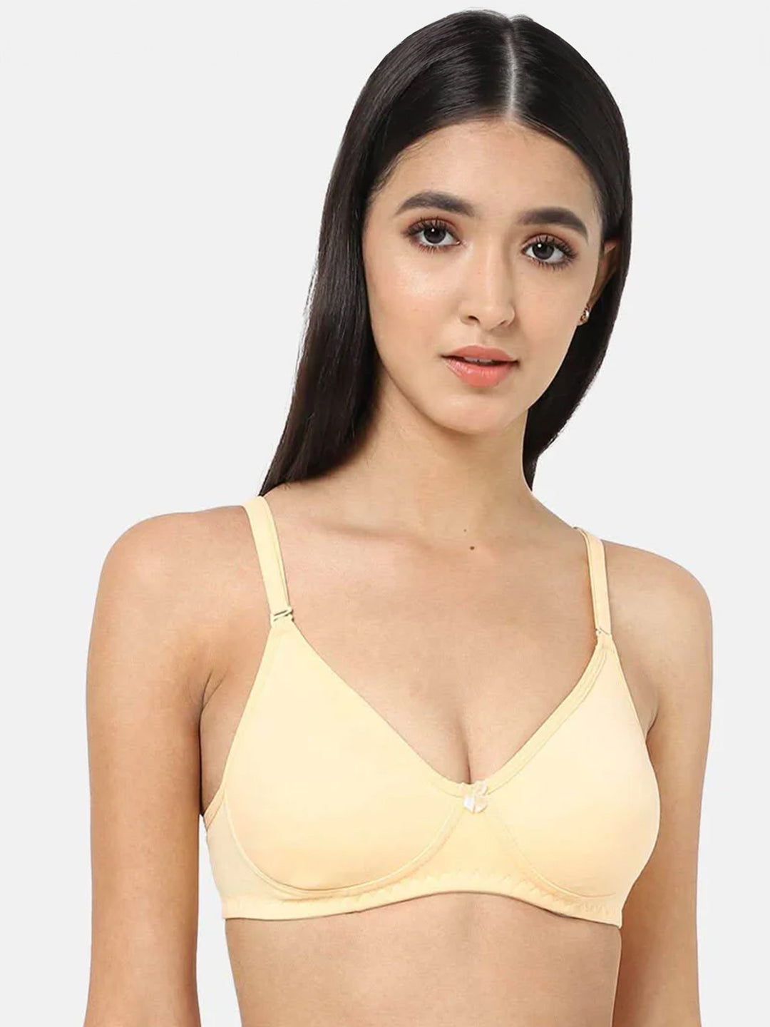 Fashionable Non-Wired Non-Padded Back Closure Intimacy Everyday T-Shirt Bra - Blue Shades - ES06