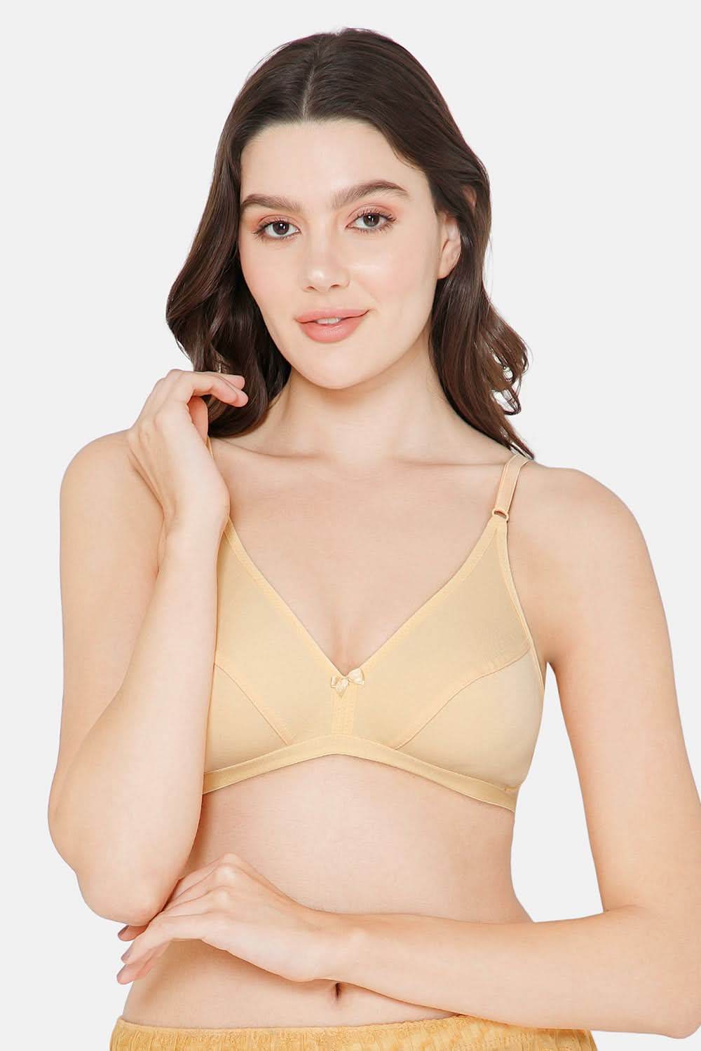 Intimacy Saree Bra Special Combo Pack - IN27 - C34 - Naidu Hall Family Store