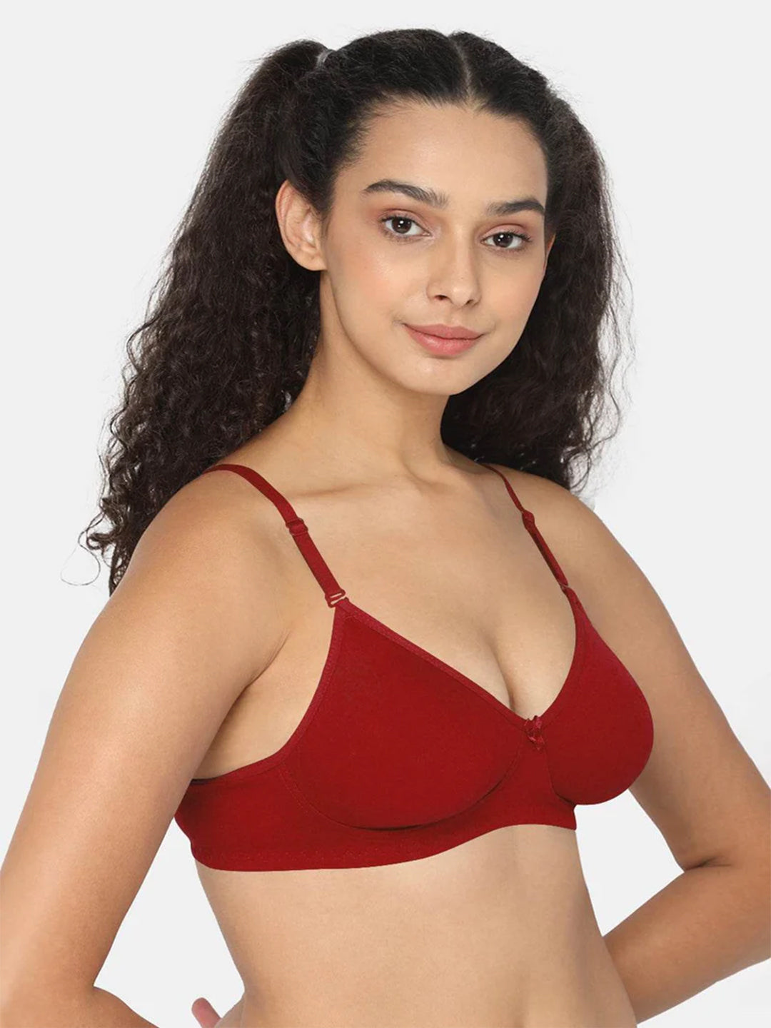 Fashionable Non-Wired Non-Padded Back Closure Intimacy Everyday T-Shirt Bra - Blue Shades - ES06