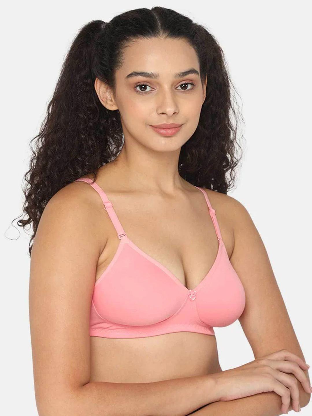 Fashionable Non-Wired Non-Padded Back Closure Intimacy Everyday T-Shirt Bra - Blue Shades - ES06