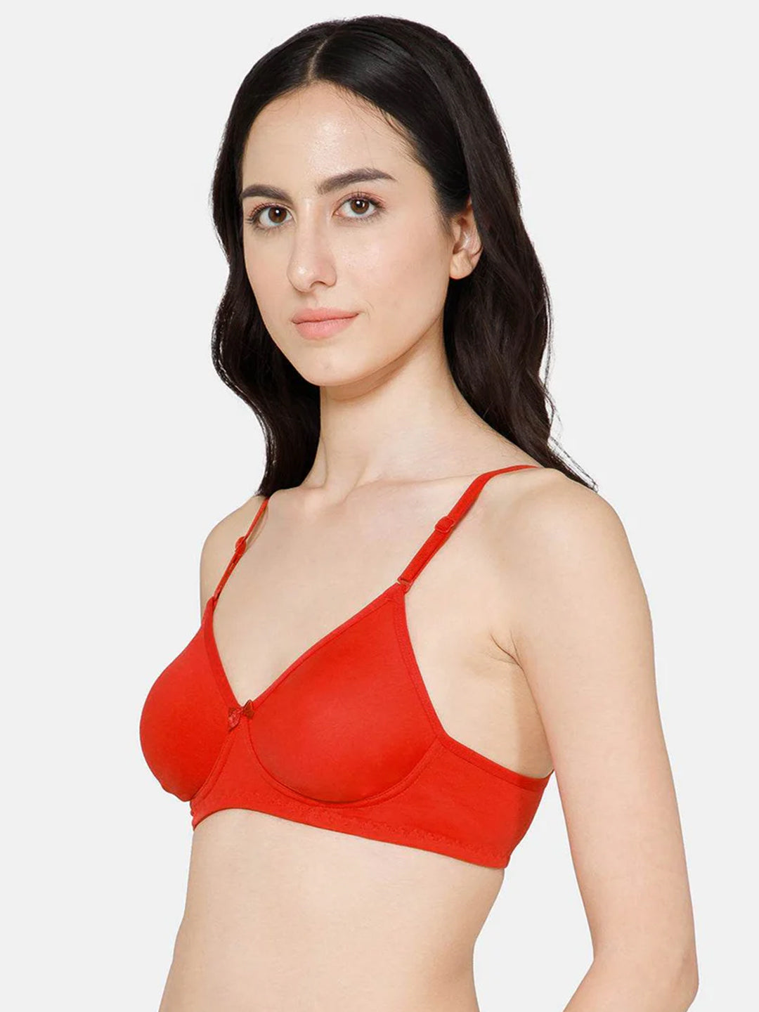 Fashionable Non-Wired Non-Padded Back Closure Intimacy Everyday T-Shirt Bra - Blue Shades - ES06