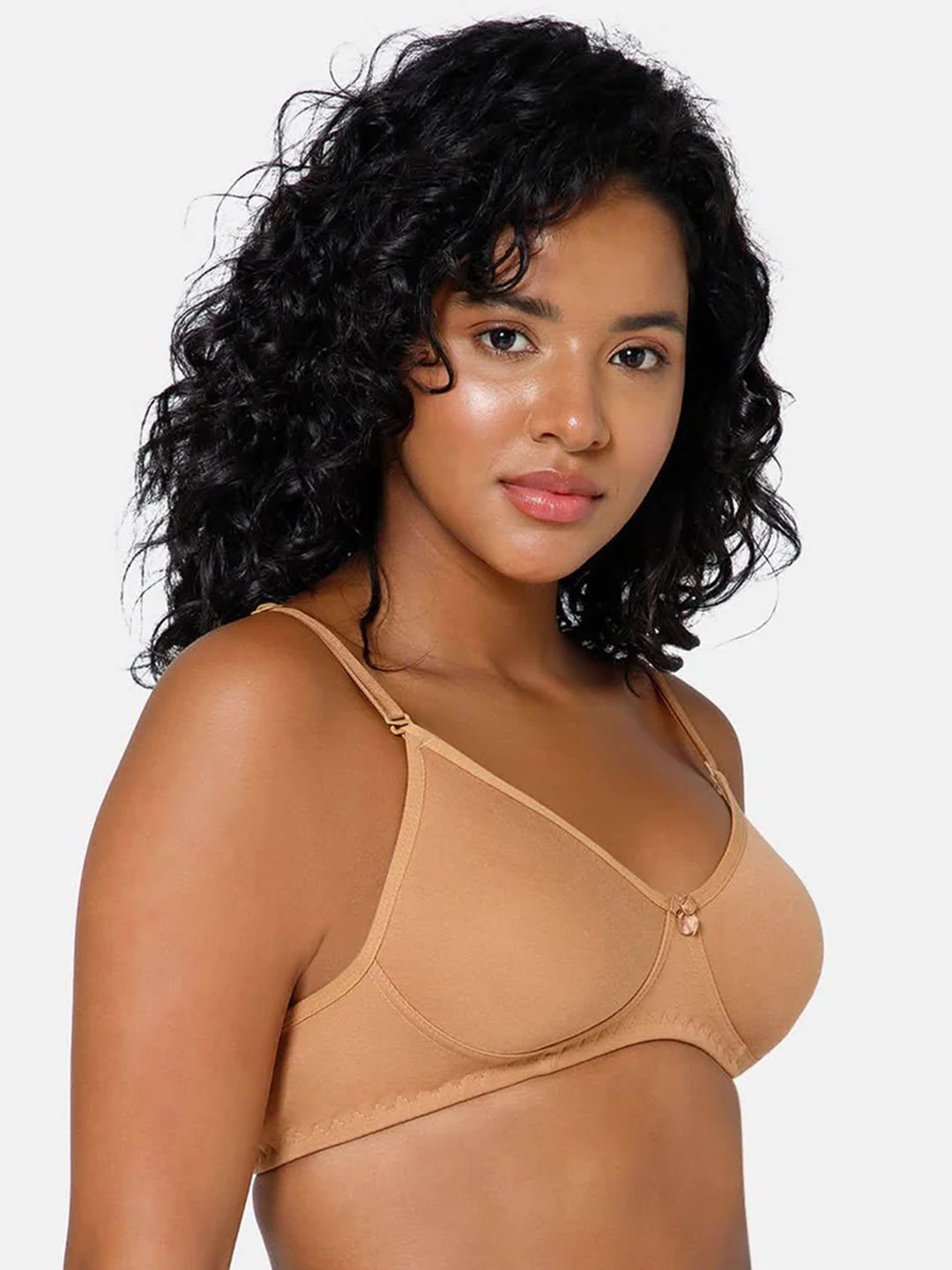 Fashionable Non-Wired Non-Padded Back Closure Intimacy Everyday T-Shirt Bra - Blue Shades - ES06
