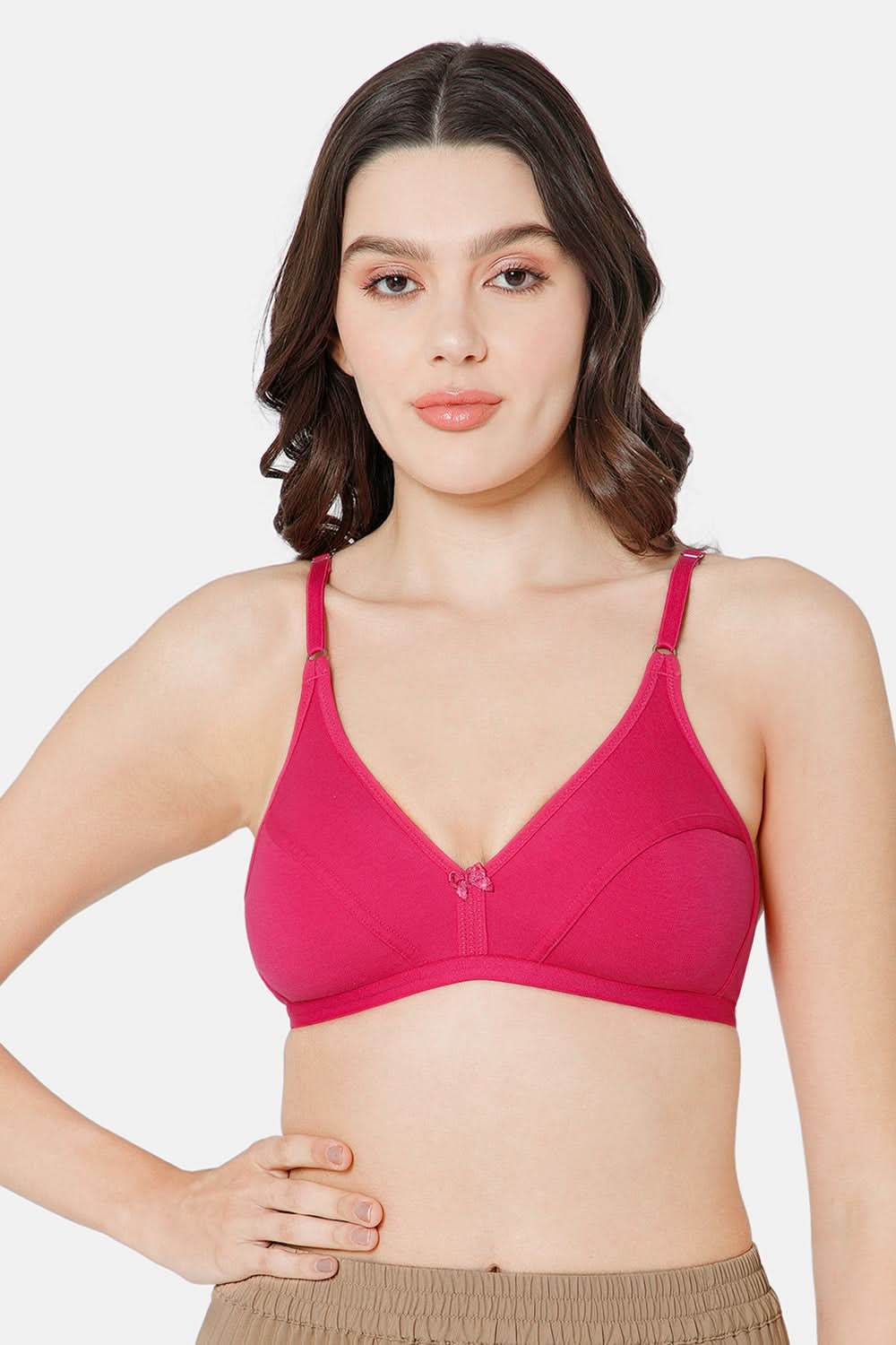 Intimacy Saree Bra Special Combo Pack - IN27 - C38 - Naidu Hall Family Store