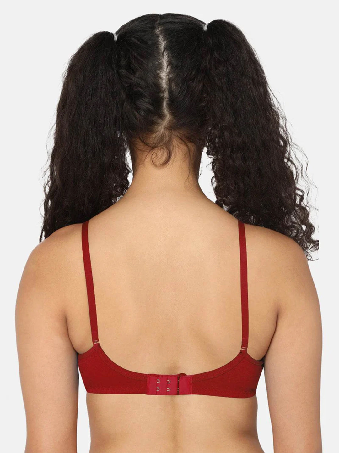 Fashionable Non-Wired Non-Padded Back Closure Intimacy Everyday T-Shirt Bra - Blue Shades - ES06