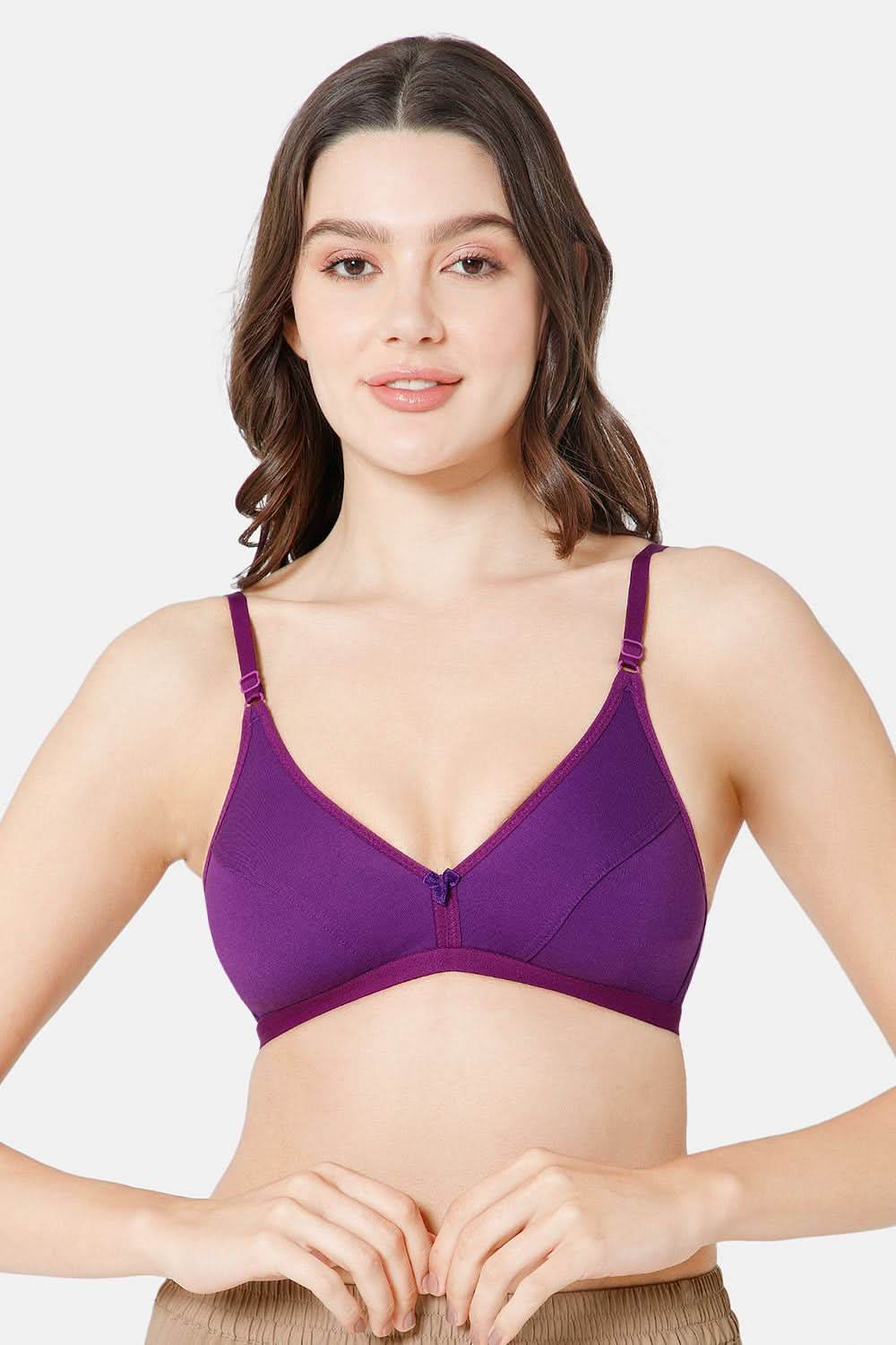 Intimacy Saree Bra Special Combo Pack - IN27 - C34 - Naidu Hall Family Store