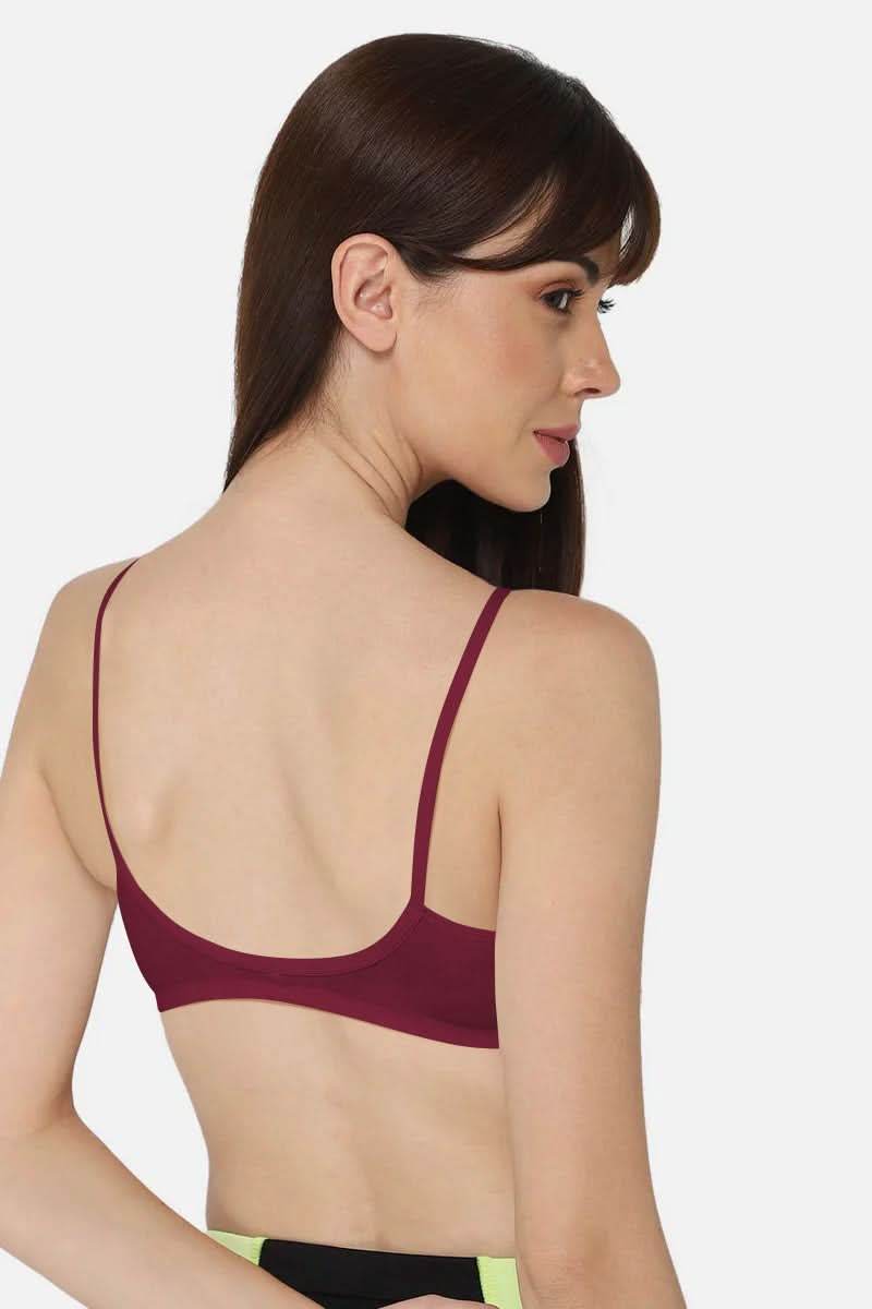 Intimacy Front Open Saree Bra Other Shades - EC07 - Naidu Hall Family Store
