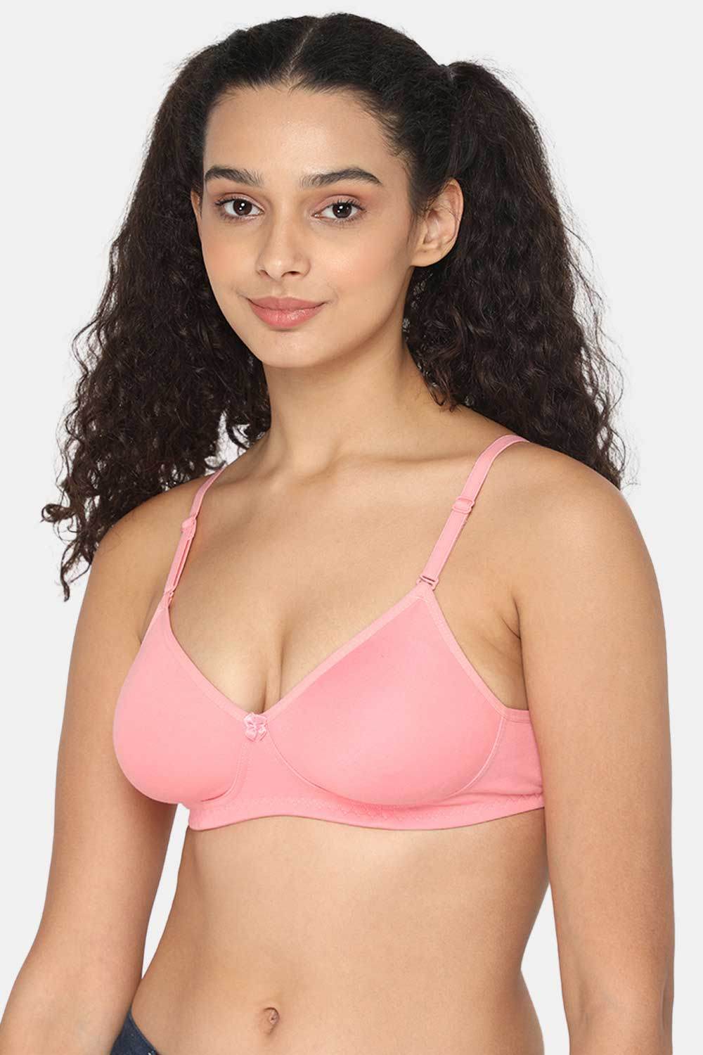 Fashionable Non-Wired Non-Padded Back Closure Intimacy Everyday T-Shirt Bra - Other Shades - ES06 - Naidu Hall Family Store