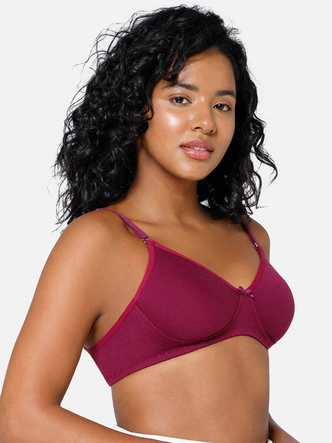 Fashionable Non-Wired Non-Padded Back Closure Intimacy Everyday T-Shirt Bra - Blue Shades - ES06
