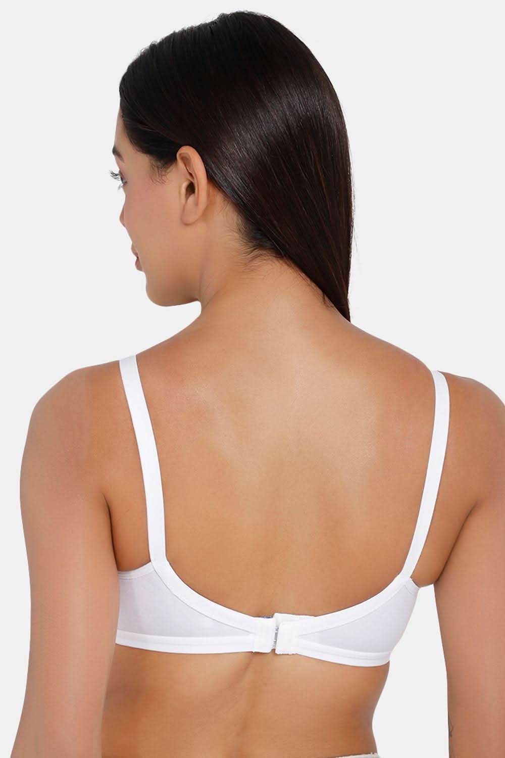 Naidu Hall Classic Knitwear Bra Combo Pack – Soft, Supportive, and Stylish Bras for Everyday Comfort (C43) - Naidu Hall Family Store