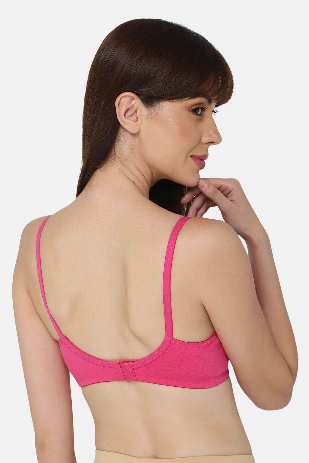 Intimacy Saree Bra Combo Pack – Stylish Non-Wired Comfort for Everyday Wear, Perfect for Sarees (INT05 - C38) - Naidu Hall Family Store