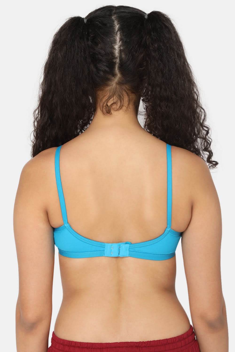 Naidu Hall Trend Heritage Bra Combo Pack – Classic, Supportive Design for Comfort and Style (C33) - Naidu Hall Family Store