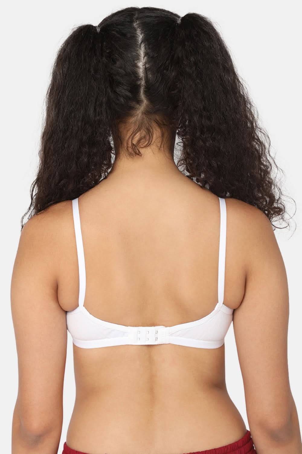 Naidu Hall Heritage-Bra Special Combo Pack - Trend - C41