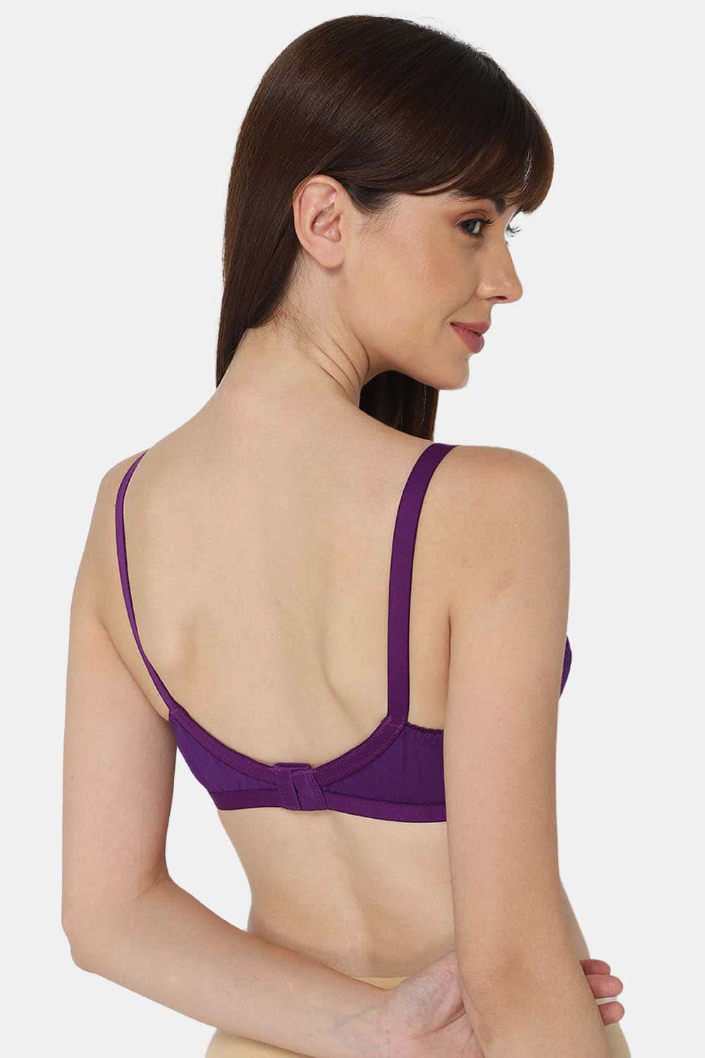 Naidu Hall Heritage-Bra Special Combo Pack - Cross - C42