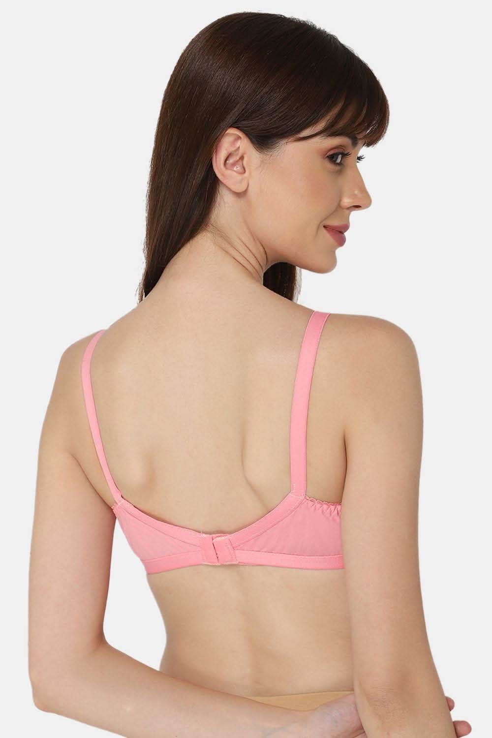 Naidu Hall Heritage-Bra Special Combo Pack - Cross - C67 - Naidu Hall Family Store