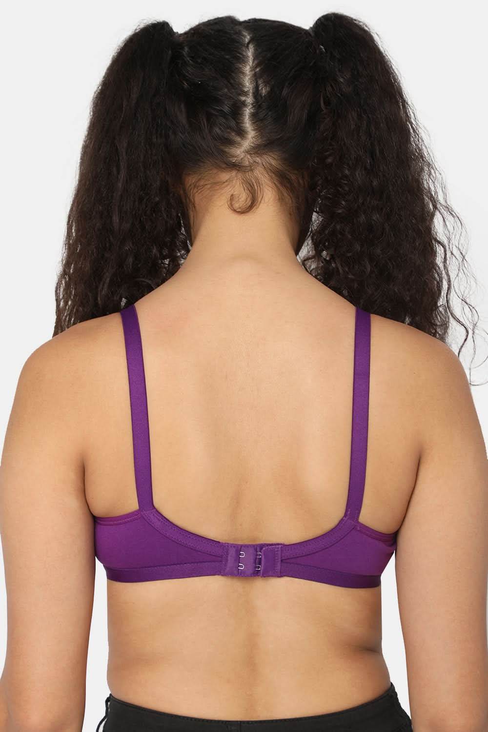 Naidu Hall Pretti Knitwear Bra Combo Pack – Soft and Comfortable Support for Everyday Wear (C34) - Naidu Hall Family Store