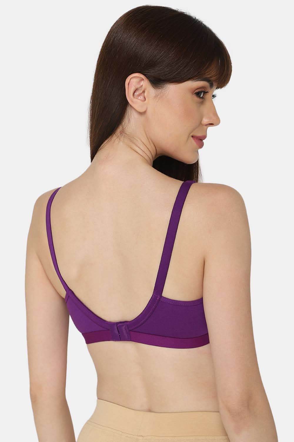 Intimacy Saree Bra Special Combo Pack – Elegant and Comfortable Bras for Saree Wearers (INT01 - C42) - Naidu Hall Family Store