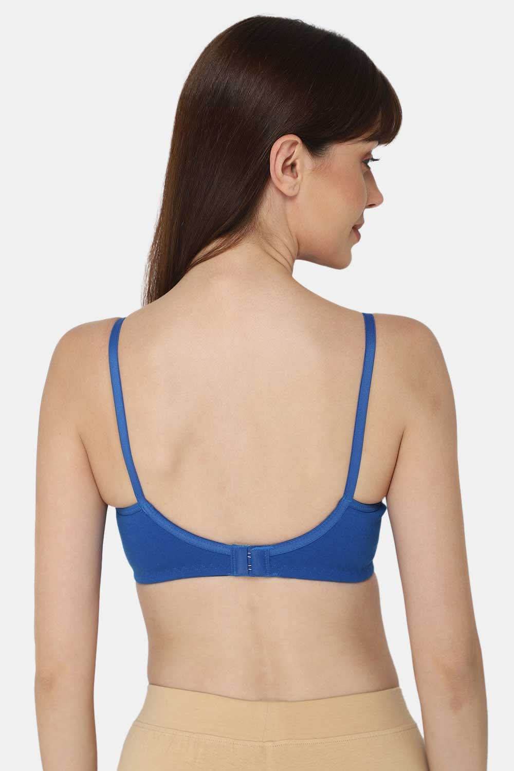 Intimacy Saree Bra Special Combo Pack - IN05 - C43 - Naidu Hall Family Store