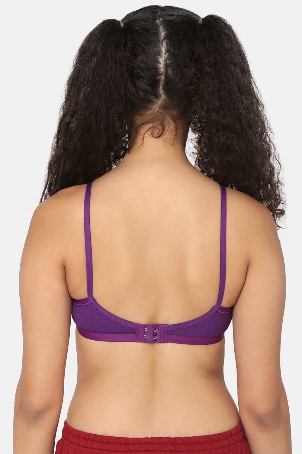 Naidu Hall Trend Heritage Bra Combo Pack – Classic and Comfortable Bras for Everyday Wear and Support (C42) - Naidu Hall Family Store