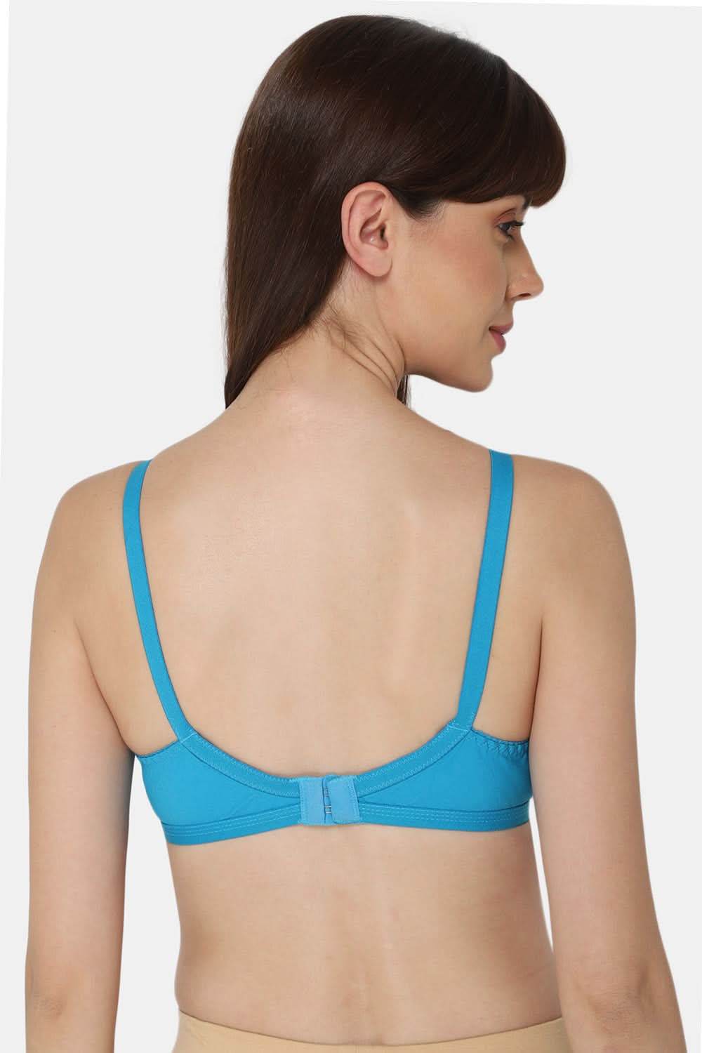 Naidu Hall Heritage Bra Combo Pack – Naturalle Collection for Everyday Comfort and Support (C33) - Naidu Hall Family Store