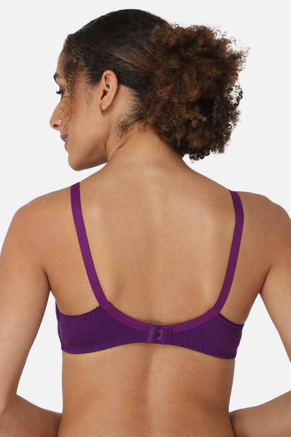 Naidu Hall Charmi Knitwear Bra Combo Pack C42 – Breathable and Stretchable Bras for Everyday Comfort and Support - Naidu Hall Family Store