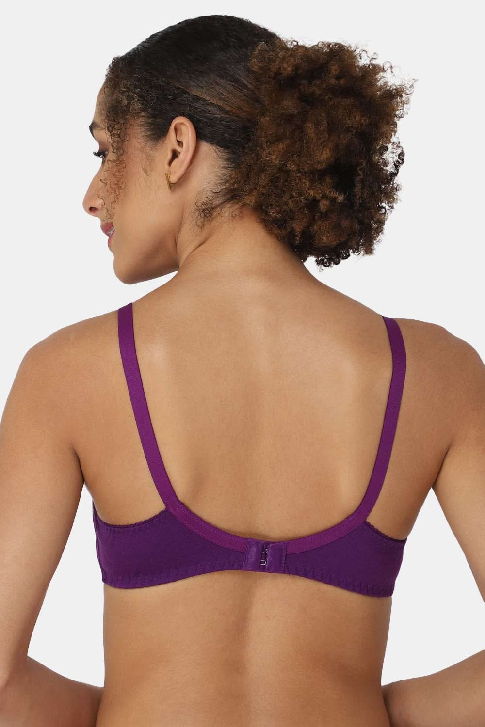 Naidu Hall Knitwear-Bra Special Combo Pack - Charmi - C42