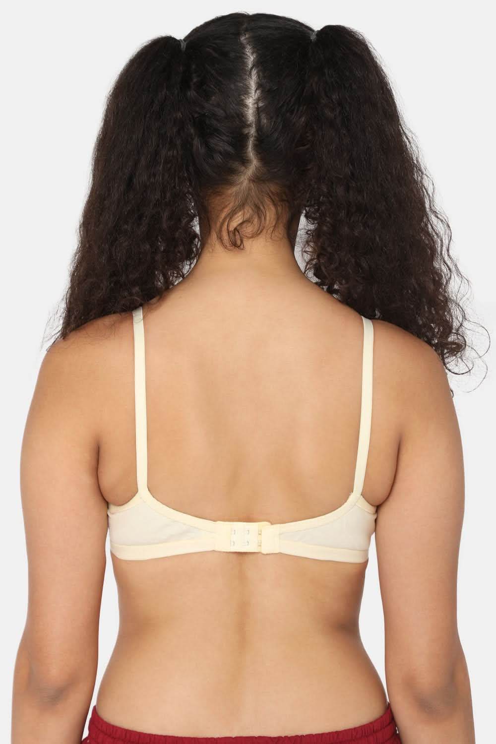 Naidu Hall Trend Heritage Bra Combo Pack – Classic, Supportive Design for Comfort and Style (C33) - Naidu Hall Family Store