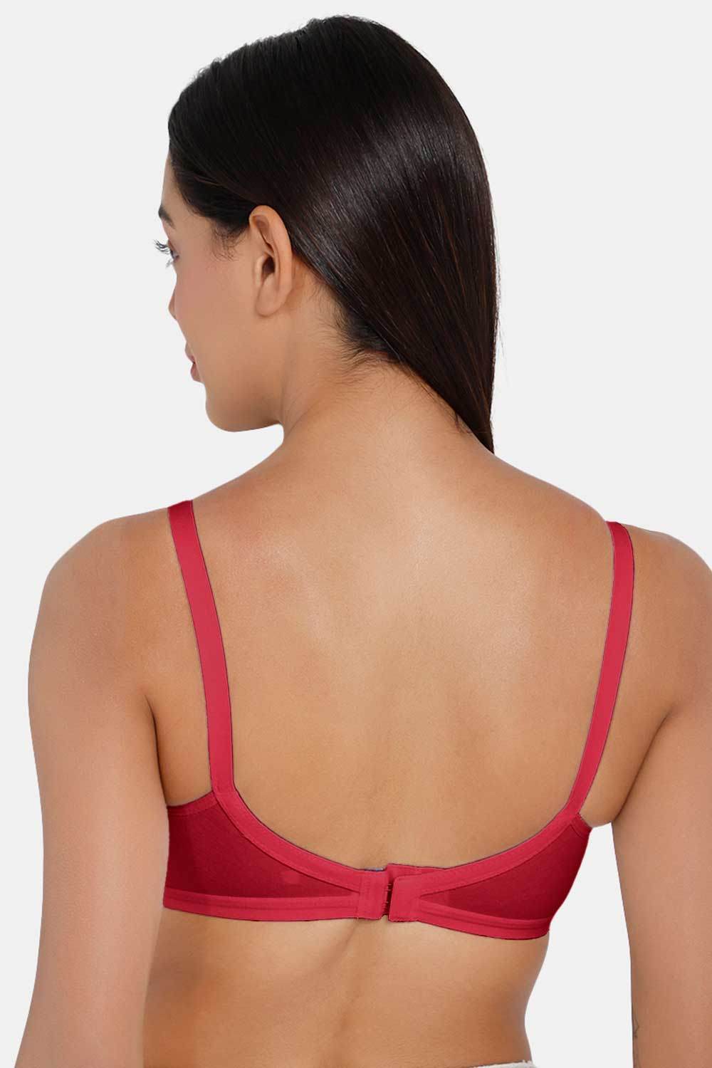 Naidu Hall Classi Knitwear Bra Combo Pack – Soft, Stylish, and Comfortable Everyday Essentials for Women (C44) - Naidu Hall Family Store