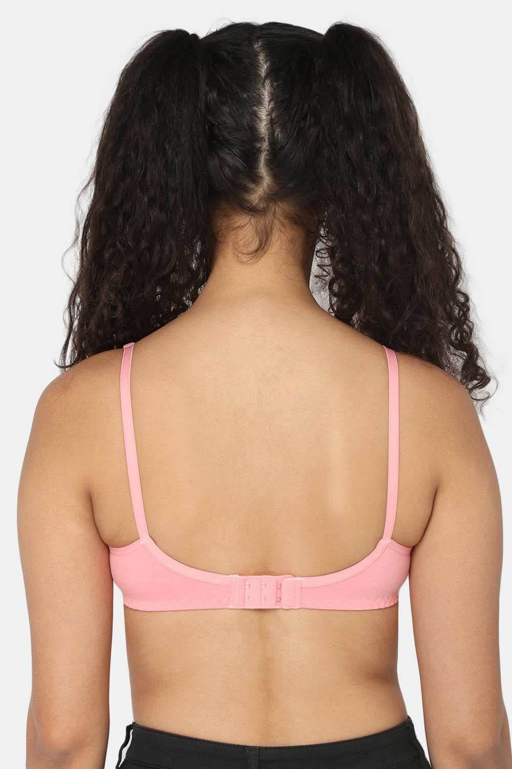 Naidu Hall Knitwear Bra Combo Pack – Soft and Supportive Bras for Comfortable All-Day Wear (Candi C67) - Naidu Hall Family Store