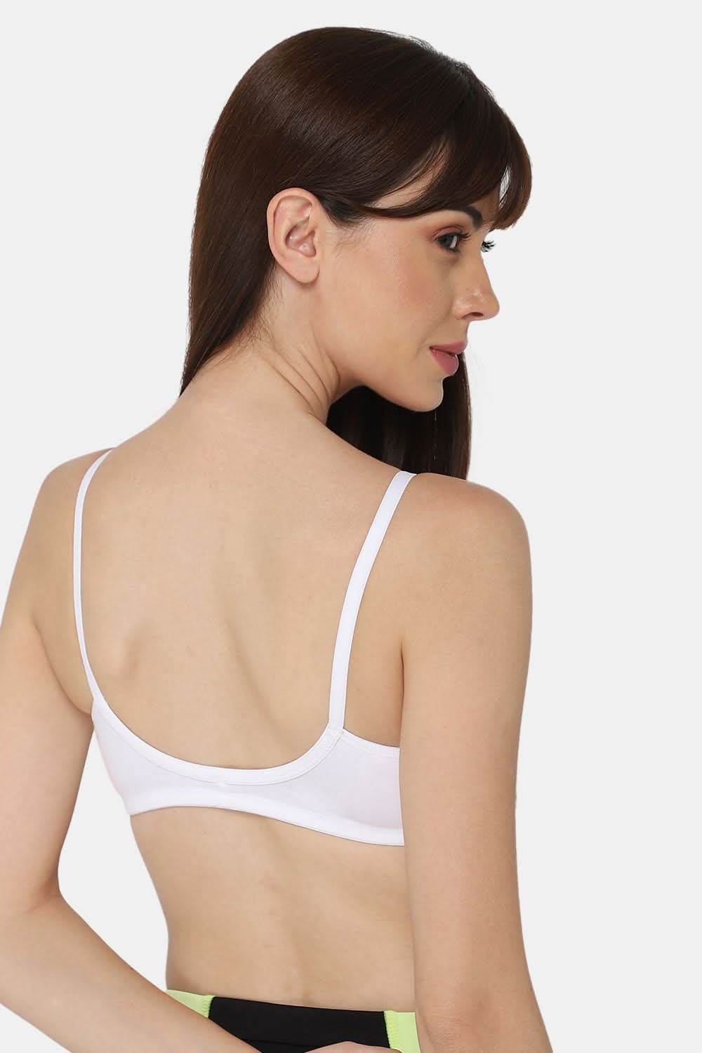 Intimacy Everyday Bra Special Combo Pack – Comfortable and Versatile Daily Wear Bras for All-Day Support (EC07, C38) - Naidu Hall Family Store