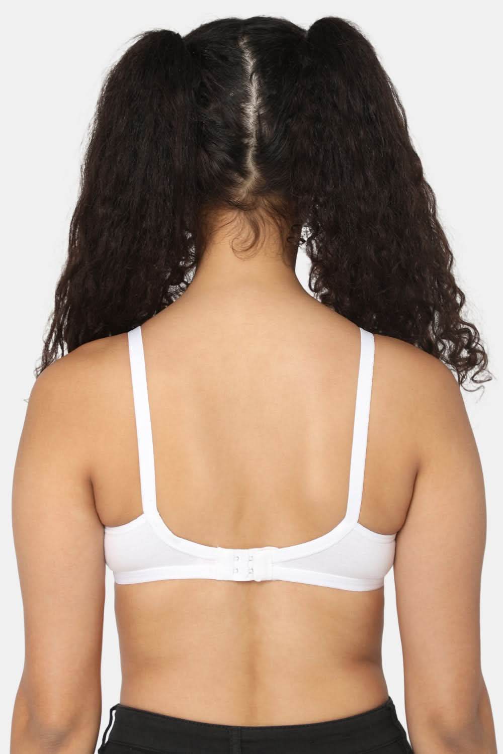 Naidu Hall Pretti Knitwear Bra Combo Pack – Soft, Supportive and Stylish Essentials for Everyday Comfort (C43) - Naidu Hall Family Store