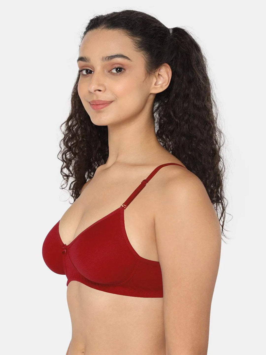 Fashionable Non-Wired Non-Padded Back Closure Intimacy Everyday T-Shirt Bra - Blue Shades - ES06