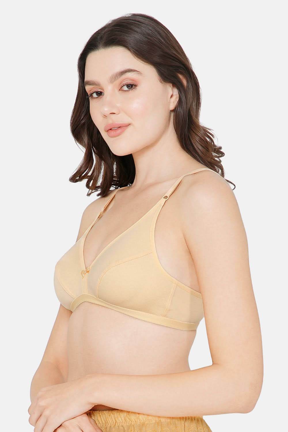 Intimacy Saree Bra Special Combo Pack - IN27 - C35 - Naidu Hall Family Store