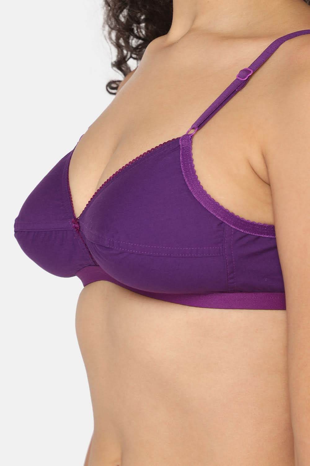 Naidu Hall Trend Heritage Bra Combo Pack – Classic and Comfortable Bras for Everyday Wear and Support (C42) - Naidu Hall Family Store