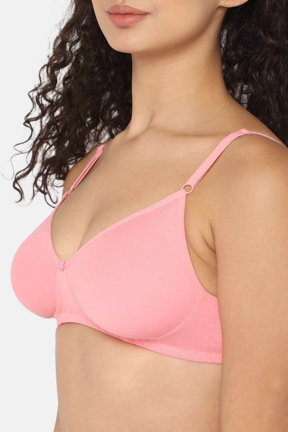 Naidu Hall Knitwear Bra Combo Pack – Soft and Supportive Bras for Comfortable All-Day Wear (Candi C67) - Naidu Hall Family Store