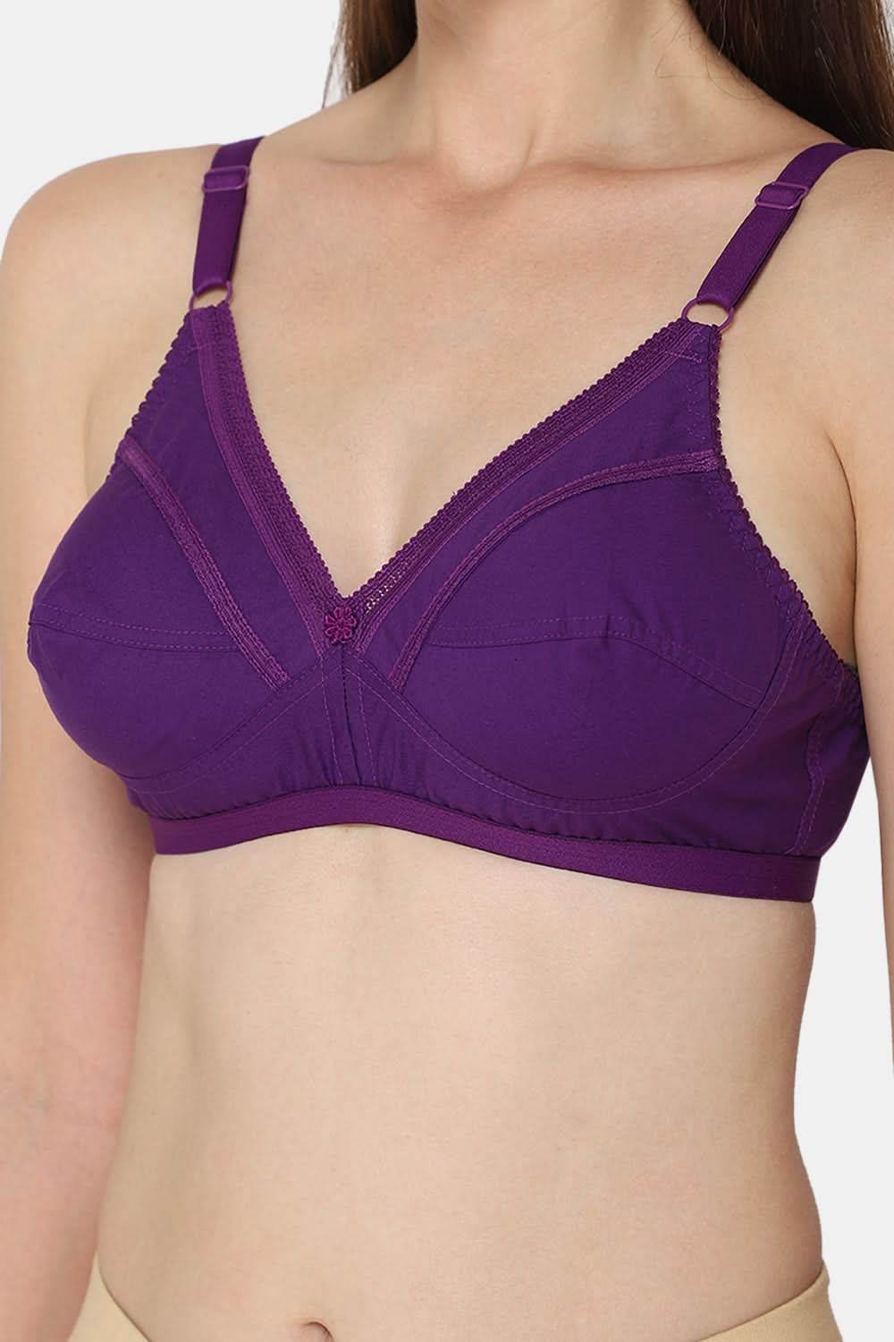 Naidu Hall Heritage Naturalle Bra Combo Pack – Soft, Comfortable, and Supportive Everyday Bras (C42) - Naidu Hall Family Store