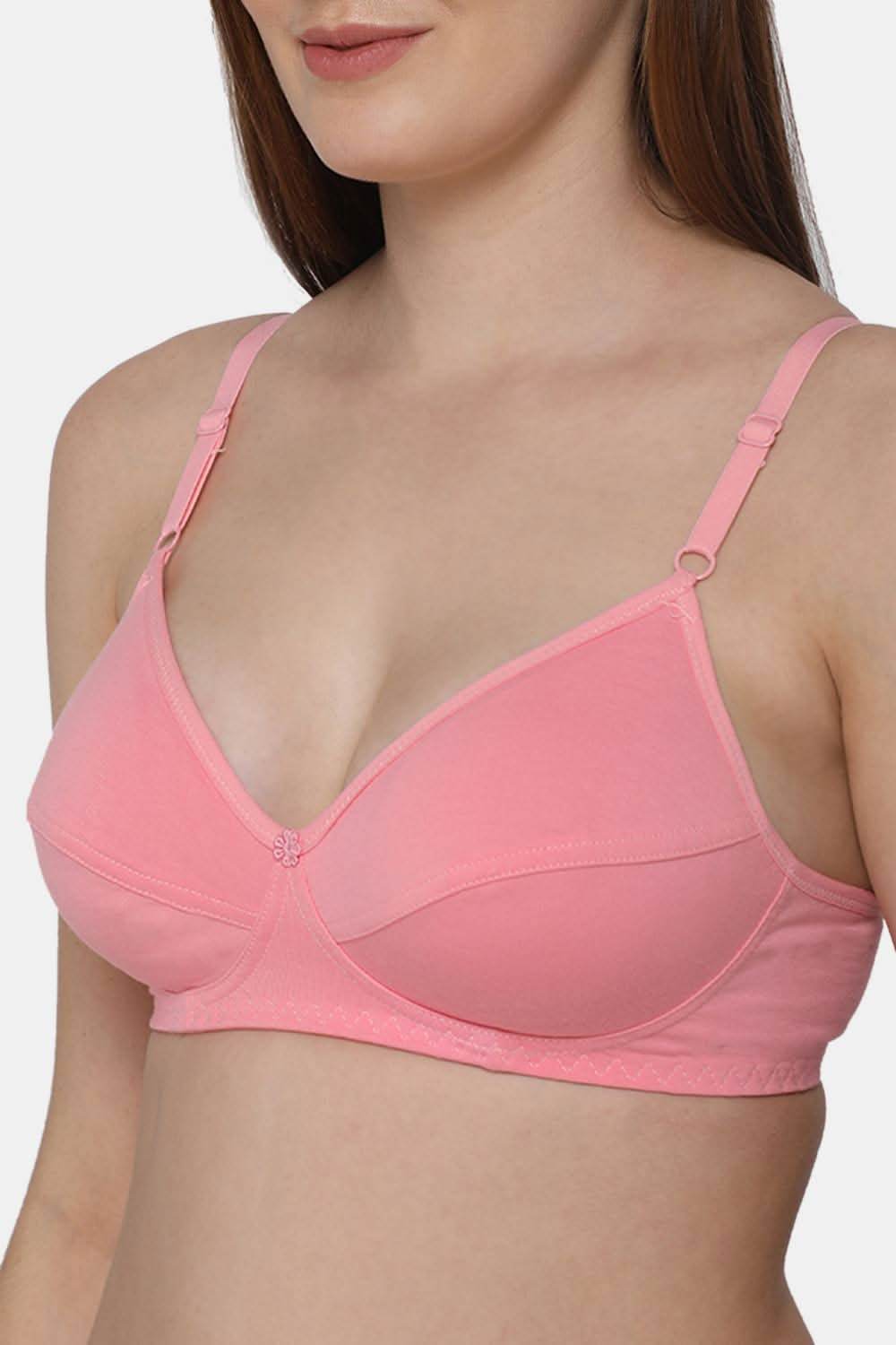 Naidu Hall Glori Knitwear Bra Combo Pack – Soft, Comfortable, and Supportive Bras for Everyday Wear (C39) - Naidu Hall Family Store