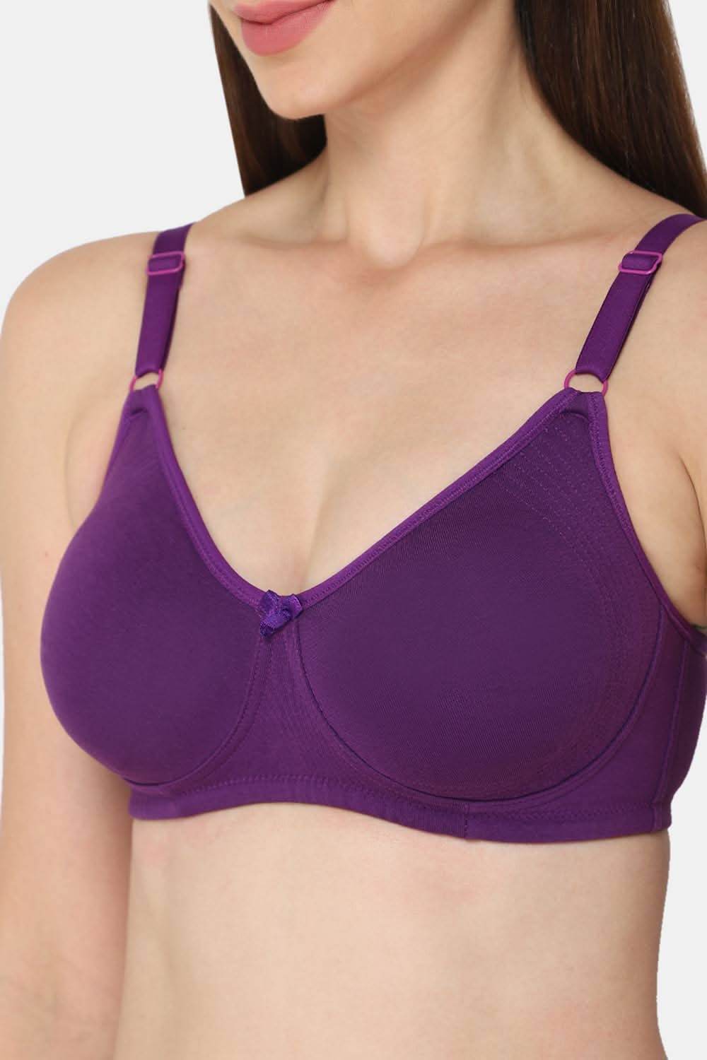 Intimacy Everyday Bra Combo Pack –Padded, Non-Wired Comfort Bras for Daily Wear Support (EC06-C42) - Naidu Hall Family Store