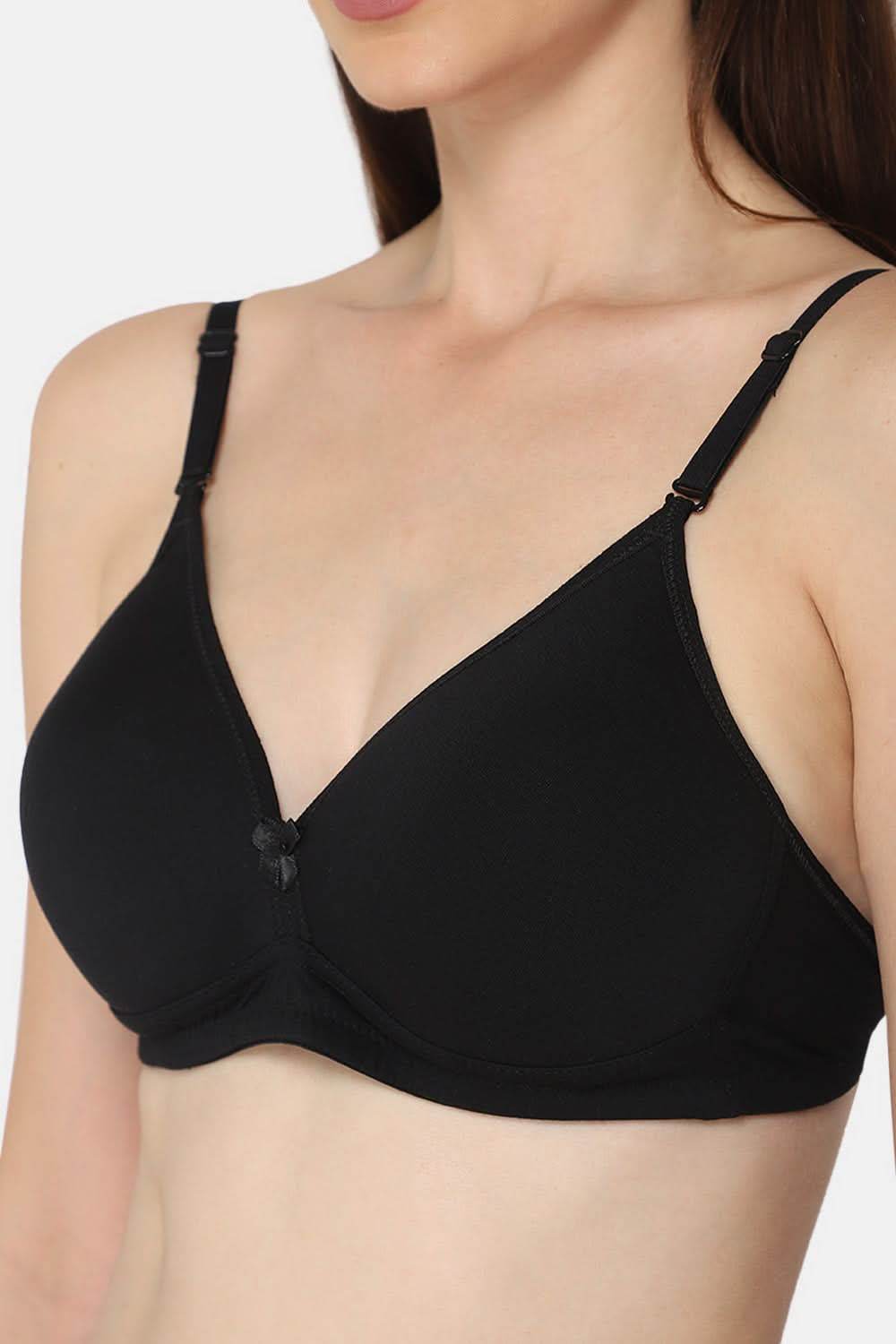 Intimacy Trendy Bra Combo Pack – Stylish and Comfortable Everyday Bras for Women (UC11 - C01) - Naidu Hall Family Store