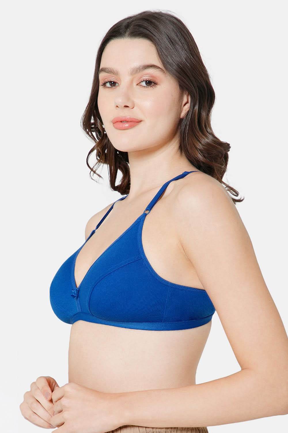 Intimacy Saree Bra Special Combo Pack - IN27 - C43 - Naidu Hall Family Store