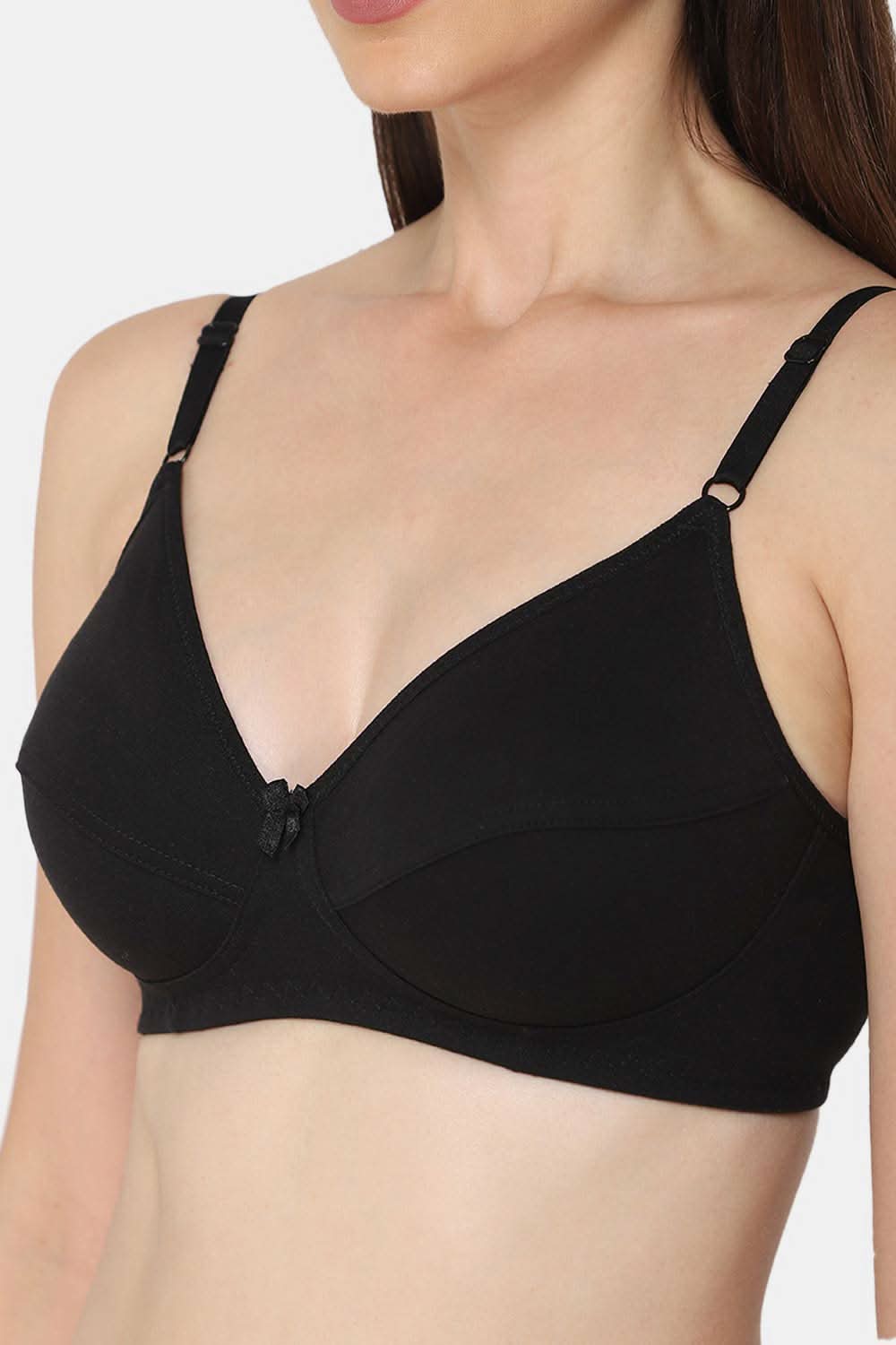 Intimacy Saree Bra Special Combo Pack – Elegant and Supportive Bras for Comfortable Everyday Wear (INT05 - C33)