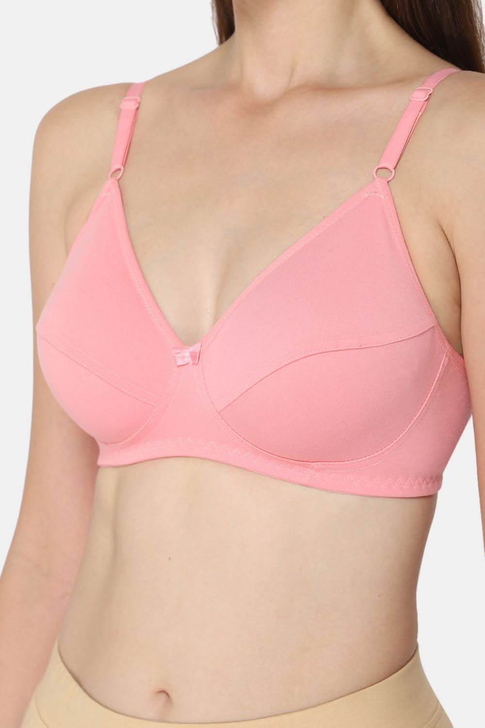Intimacy Saree Bra Special Combo Pack – Elegant and Comfortable Bras for Saree Wear, Perfect Fit (INT05 - C39) - Naidu Hall Family Store