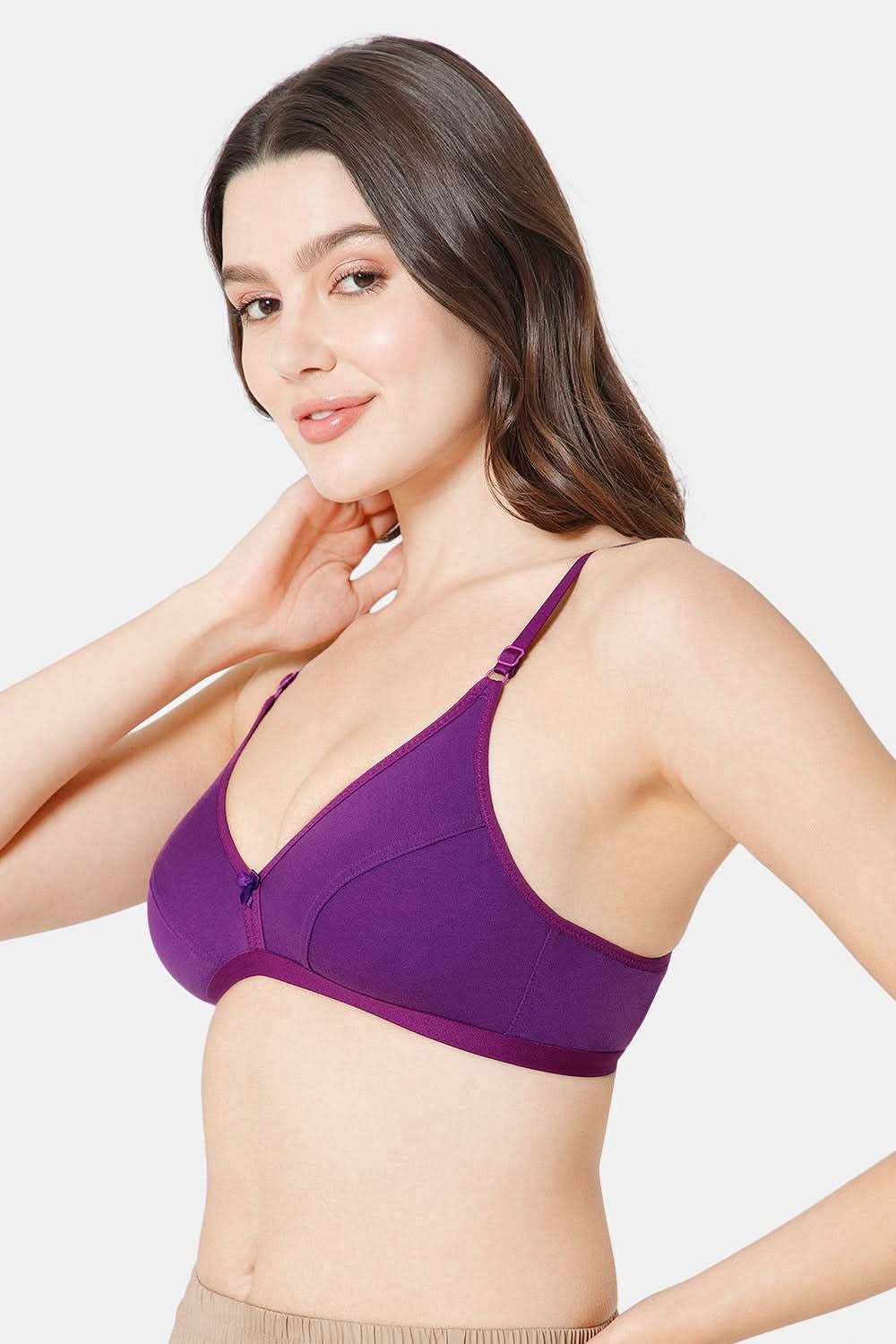 Intimacy Saree Bra Special Combo Pack - IN27 - C42 - Naidu Hall Family Store